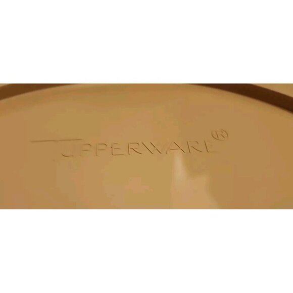 Tupperware 14" Chip Dip-N-Serve Appetizer Tray Replacement 492-3 - Picture 3 of 4